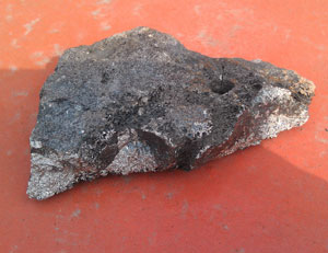 �t��̎�����a��